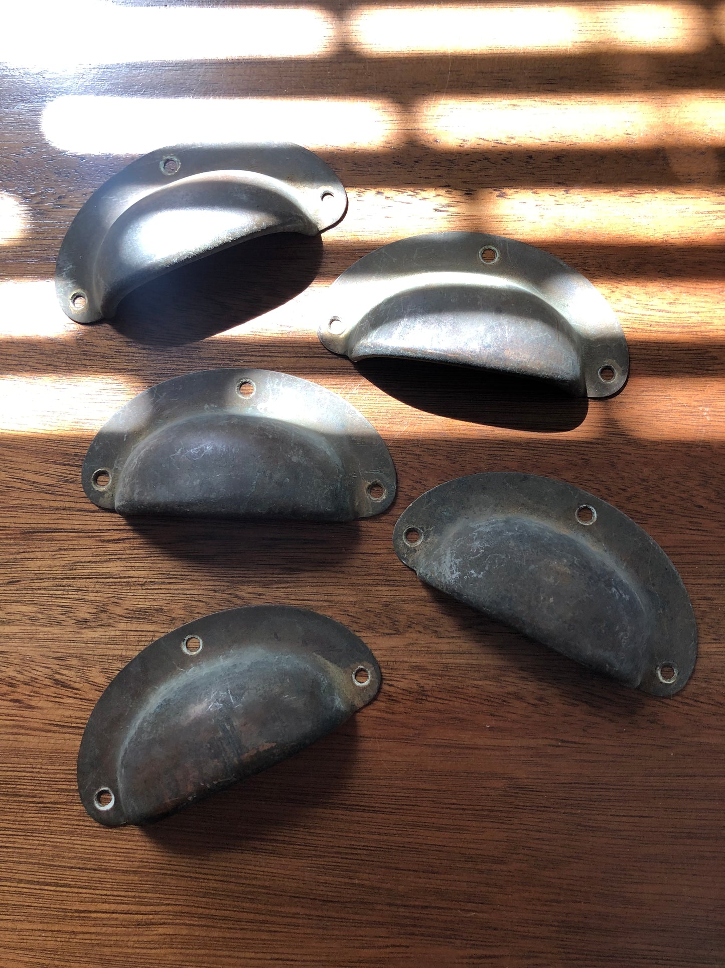 Vintage shell cup pull handles